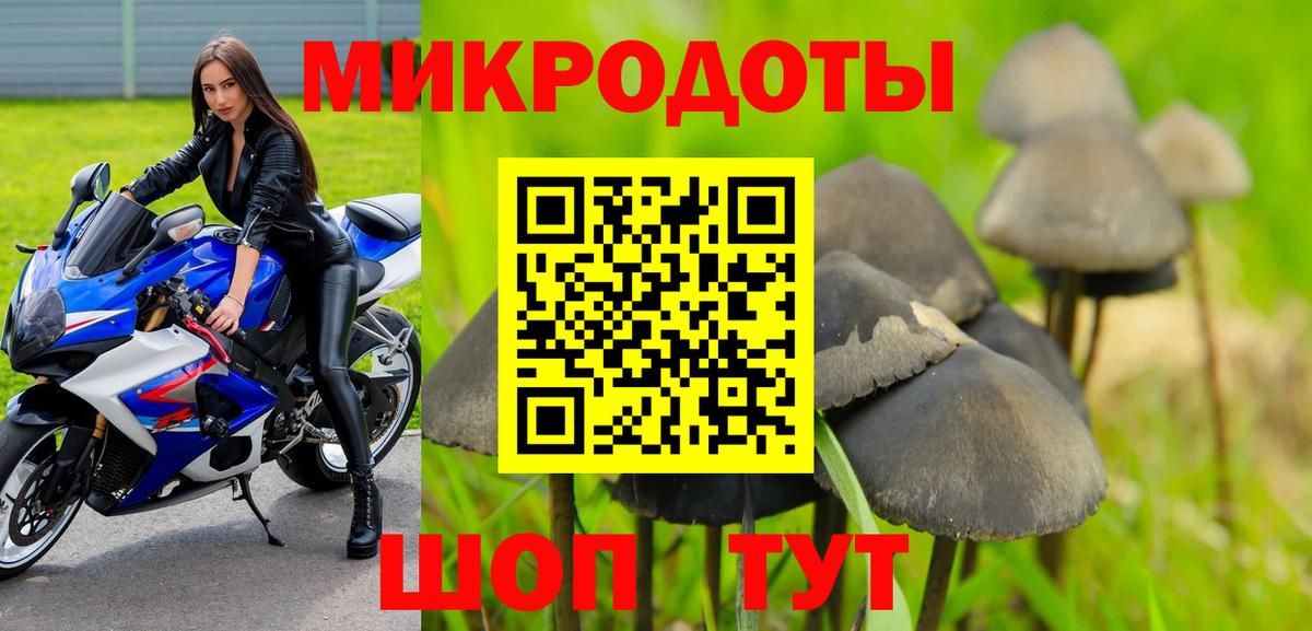 Галлюциногенные грибы мицелий Мыски